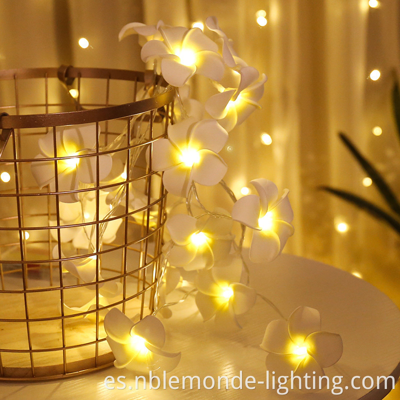 Christmas Decoration Lights